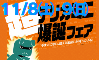 今週末は超爆誕祭ッ✨✨